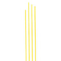 Linguine No 13 - Gewürze online kaufen Altes Gewürzamt