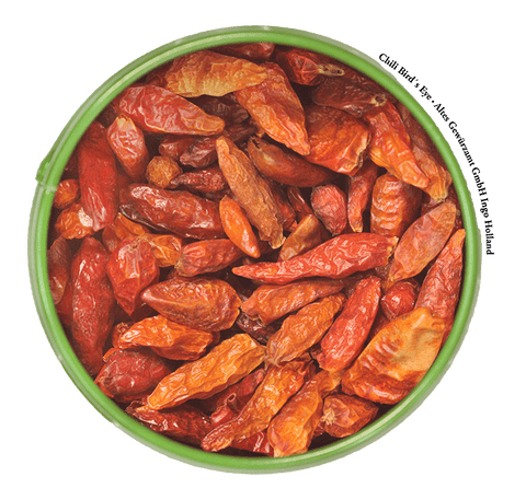 Chili Bird's Eye Nahaufnahme – ganze Chilis für Wokgerichte und Currys