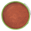 Pasilla chili close-up – herbaceous-complex with raisin and cocoa notes