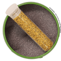 Fenchelpollen Nahaufnahme, tief anisartiges Aroma für Fisch und Patisserie