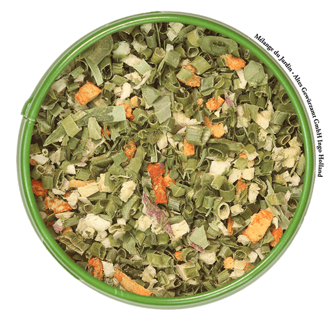 Mélange du Jardin Nahaufnahme – Schnittlauch, Dill, Petersilie und Liebstöckel