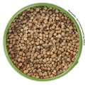 Chaste-tree pepper detail - chaste-tree seed for game and game birds