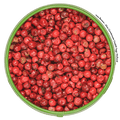 Rosa Beeren Detailansicht — dekorativer Akzent auf Fisch