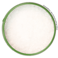 Sun salt flakes close-up – a fine finishing salt with the finest crystal structure