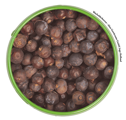 Wacholderbeeren Nahaufnahme – harzig-würziges Aroma für Schmorgerichte und Marinaden